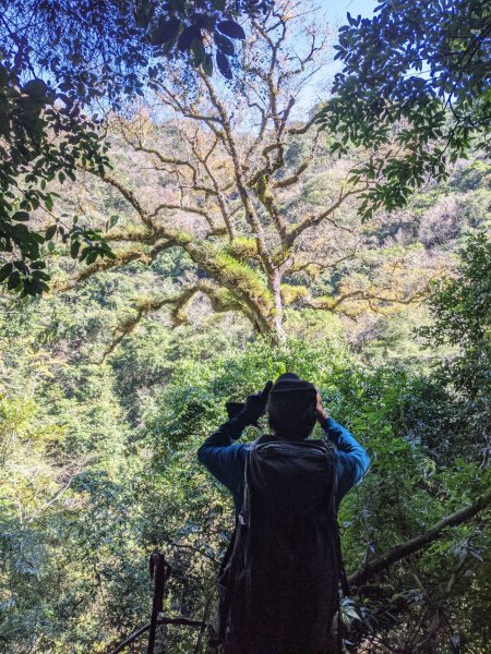 【新竹五峰尖石】霞喀羅國家步道、石鹿大山1227462