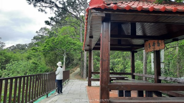 《苗栗》楓香林道｜頭份老崎古道（後花園步道）202503292748852