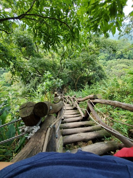 台中大坑頭嵙山697987