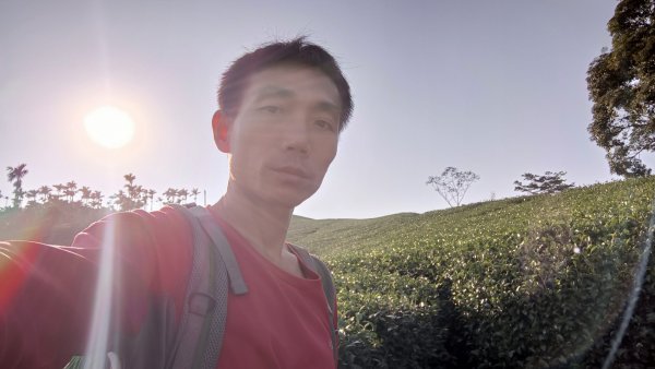 大巃頂後花茶園 2021年12月5日1538685