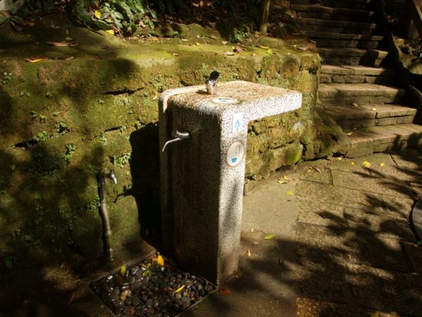 南港山一人旅350043