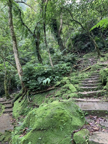 孝子山、慈母峰及普陀山860500