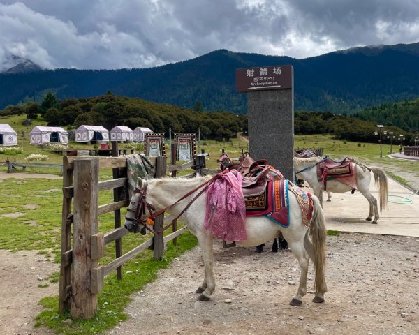 川藏深度之旅33天/A行程2902838