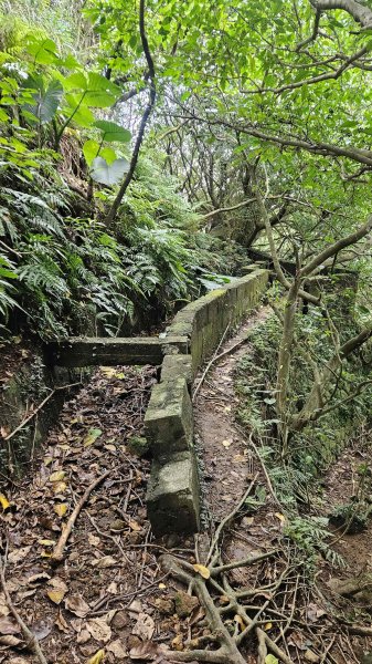 20260312瑞芳砲台山-水圳路3015920