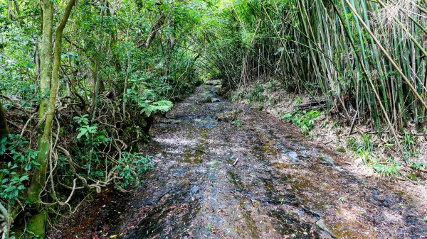 暖東峽谷大環小環2834413