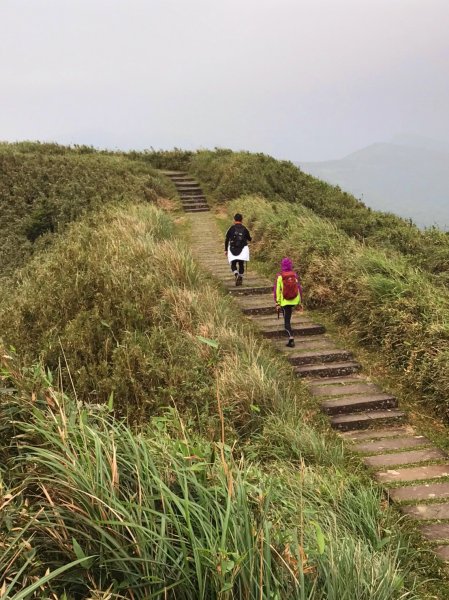 小百岳集起來-灣坑頭山2185212