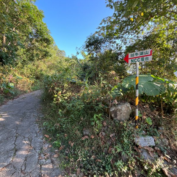 20251115_刣牛湖山（台南小百岳）2941490