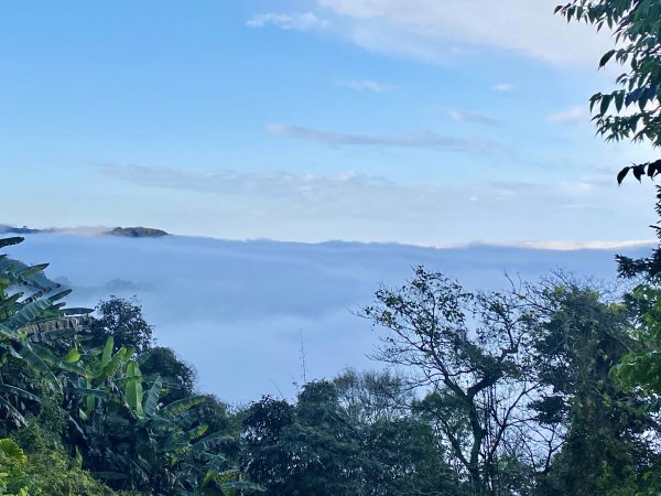 洗水山北峰.細道邦山(南峰)輕鬆撿--雲海花海看飽看滿   2022/2/101606998