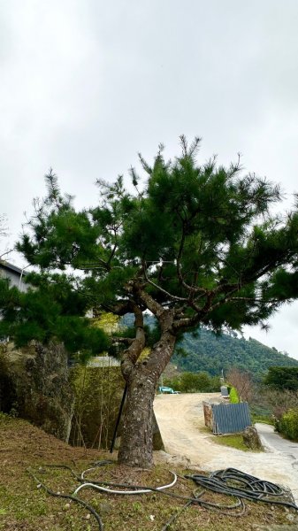 馬那邦山O走2370154