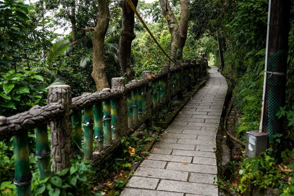 劍潭山小百岳｜老地方觀機平台2886027