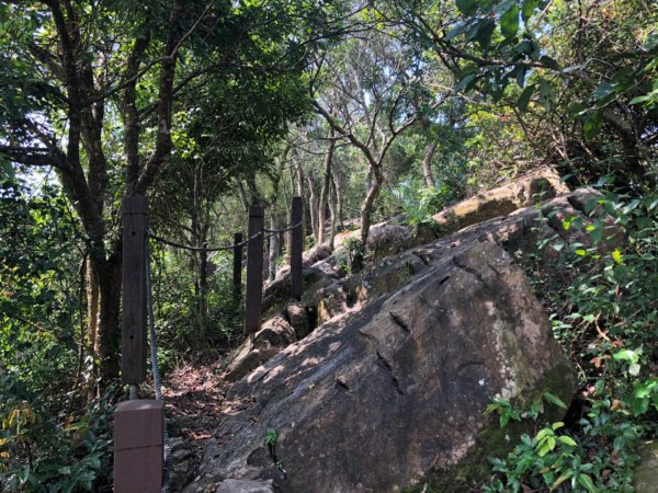 台南市南化區與高雄市內門區交界的龍鱗山（王爺崙山）步道2301089