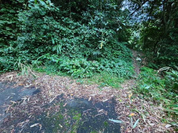 火燒寮山熊空山竹坑山加九嶺O型2966271