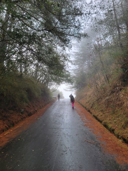 20260301鹿林山麟趾山3013003