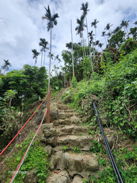 低海拔雲海美景(阿拔泉山稜線步道、樟腦寮車站、竹崎車站)2637069