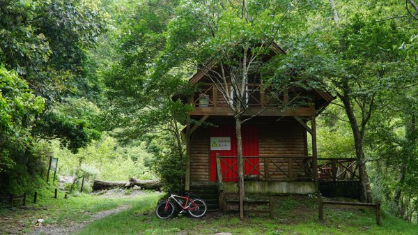 大鹿林道東線/騎乘登山車1722283