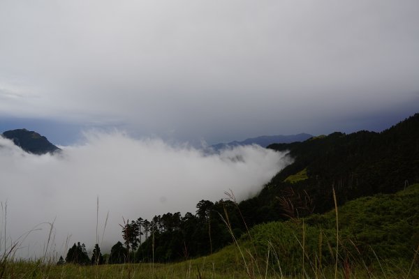 2018-08-03雪山主北431176