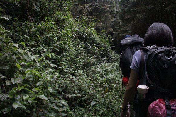 作伙來去北大武304503