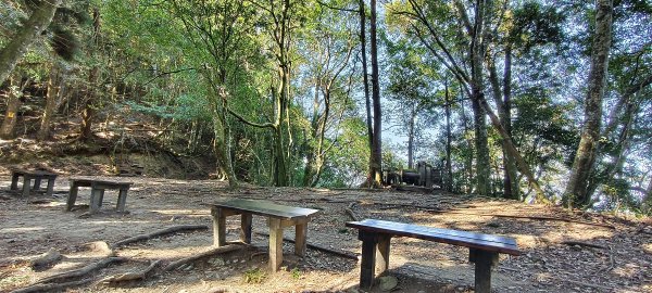 2026/03/18 加里山+大坪山 O型3020005