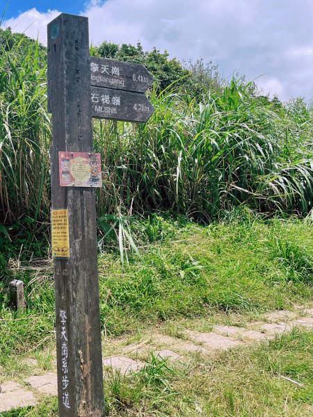 20240803頂山石梯嶺步道2582931