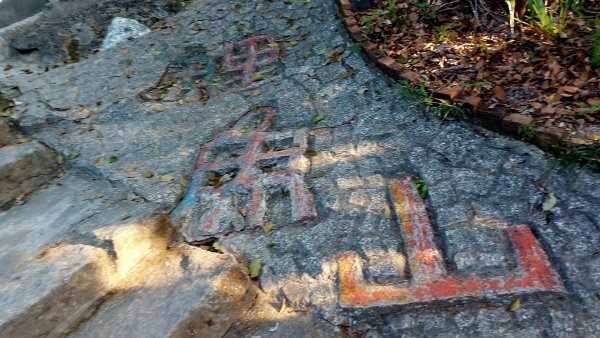 〔內湖三尖 〕忠勇山，鯉魚山，圓覺尖2118079