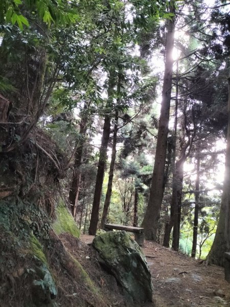 檜山巨木群步道2250330