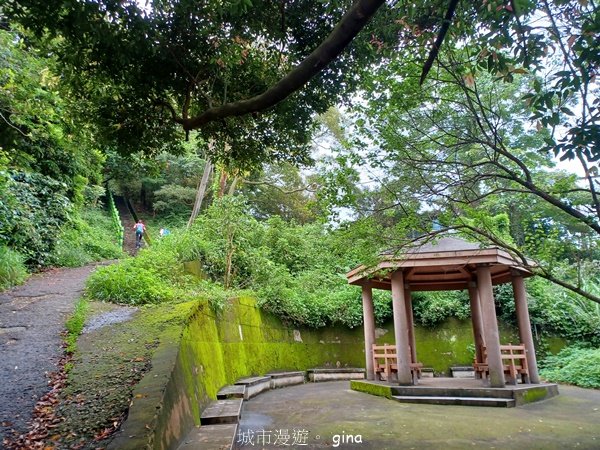 【新竹芎林】台灣百大必訪步道。 飛鳳山、觀日坪古道O繞2564331