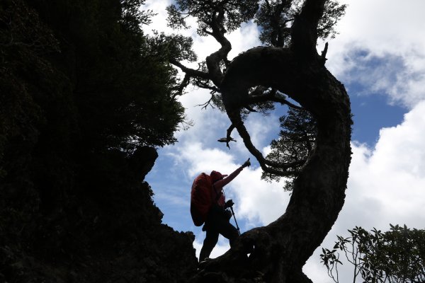 2018/9/23百岳武陵四秀(D2)─桃山山屋→桃山→詩崙山→喀拉業山往返→池有山→新達山屋