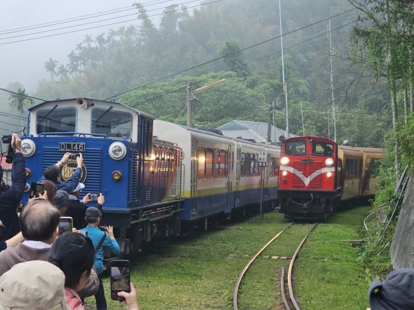 交力坪火車相會-嘉義縣竹崎鄉2655793