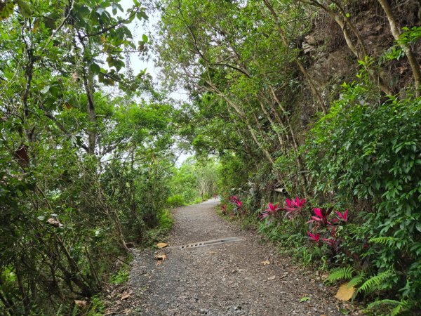 聖母登山步道（抹茶山）、三角崙山（小百岳）2774094