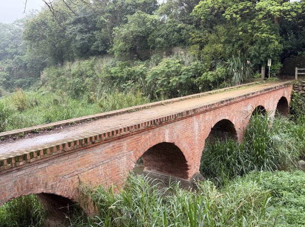 [樟之細路_第一大段RSA01] 2026_0329 大平紅橋3026636