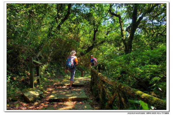 北投鳳梨宅-永春寮-中正山-竹子湖連走1092801