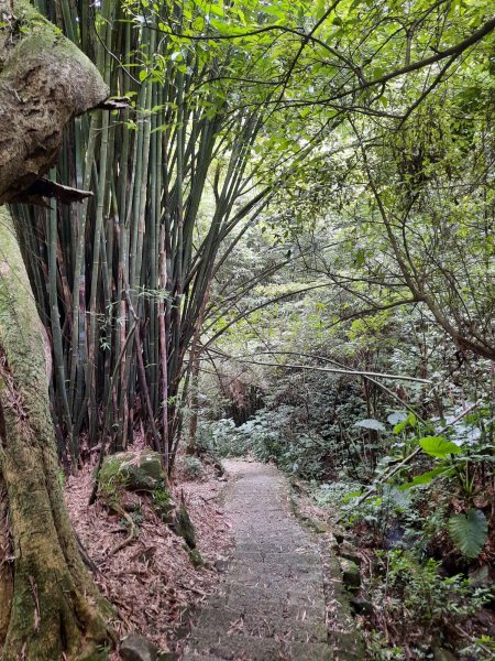 20230722 頂山石梯嶺縱走坪頂古圳，聖人瀑布2227236