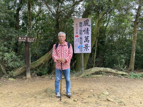 【小百岳集起來】【新竹-臺灣百大必訪步道】飛鳳山、觀日坪古道1341706