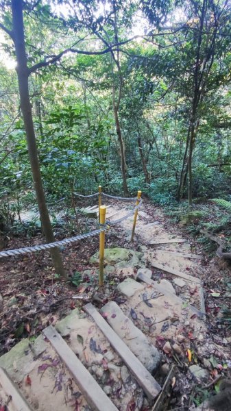 西湖捷運站-金面山-大崙頭山-圓覺-大湖公園捷運站2588689