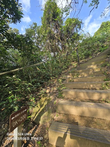 2026-03-08微笑山線：【大棟山系】百年大榕樹段3011679