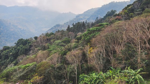 【蛇年走春】高雄桃源 • 世外桃源2700225