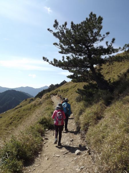 20180404 合歡東峰305040