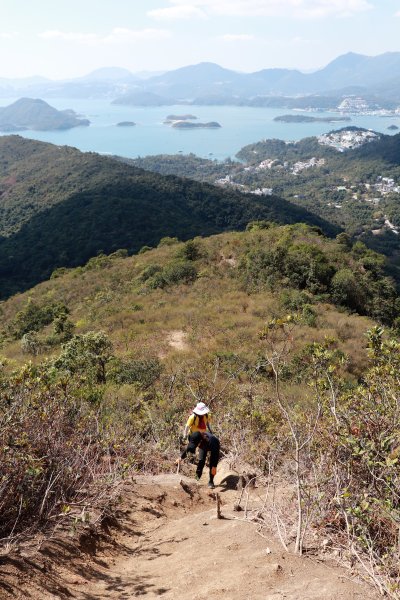 HK - 長山、太墩1457999