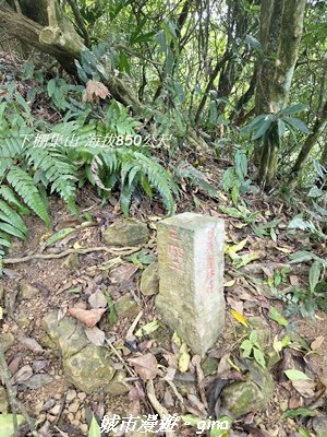 【屏東來義】小百岳棚集山x棚集下山O 繞3013092