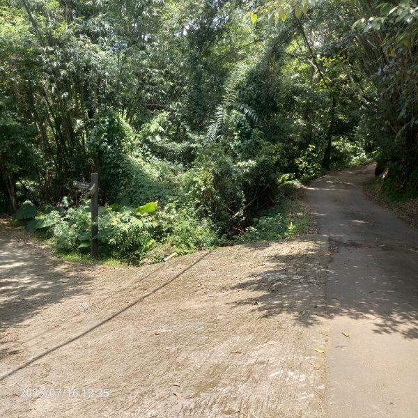 皮皮：六寮古道+獅山古道2838685