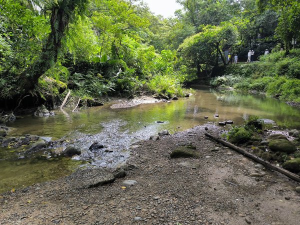 20250927微笑山線：【五分山系】望古瀑布段2896136