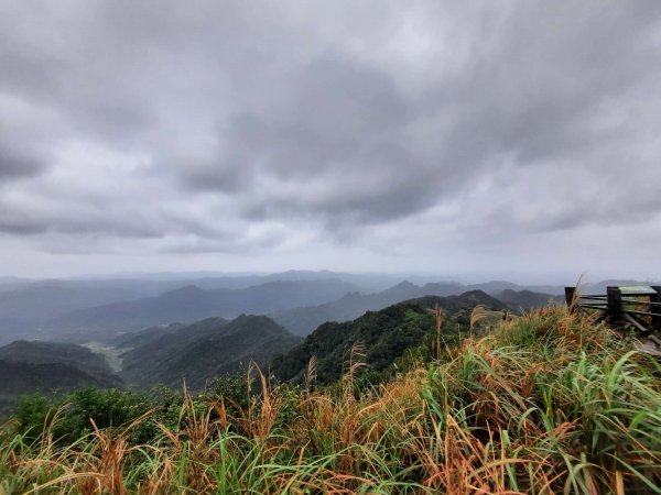 20230226 基隆姜子寮山（小百岳）2044667