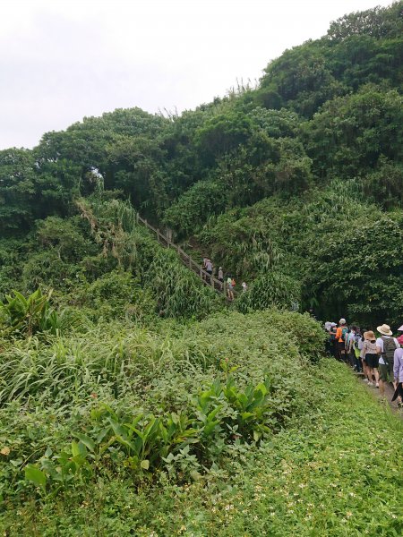 龜山島登頂-環湖-繞島1081196