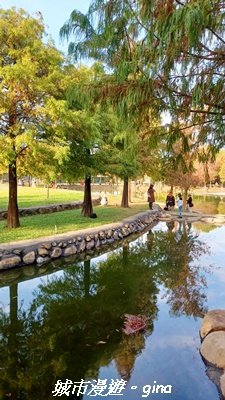 【南投名間】欣美創意園區~落羽松2968341