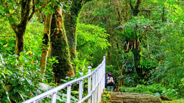 你若來汐止2961405