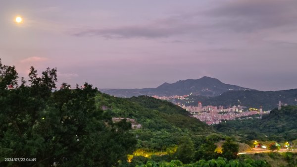 雲山水花鳥蝶 - 天龍國阿伯的日常7/18 & 21、22、292556640