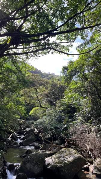 2025草嶺古道2970587