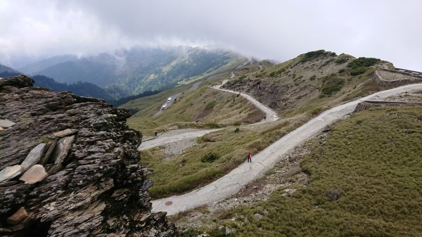 合歡山五座百岳賞杜鵑花587083