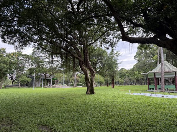 [2026臺北健走趣-06/50] 2026_0712_青年公園3098523