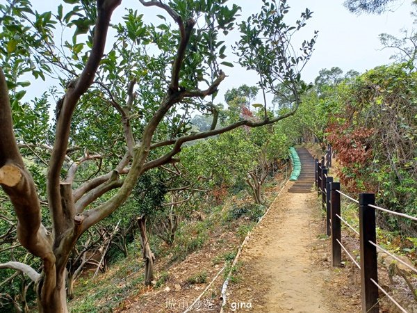 【台中豐原】平易近人。 豐原萬里長城登山步道x寮水山2517554